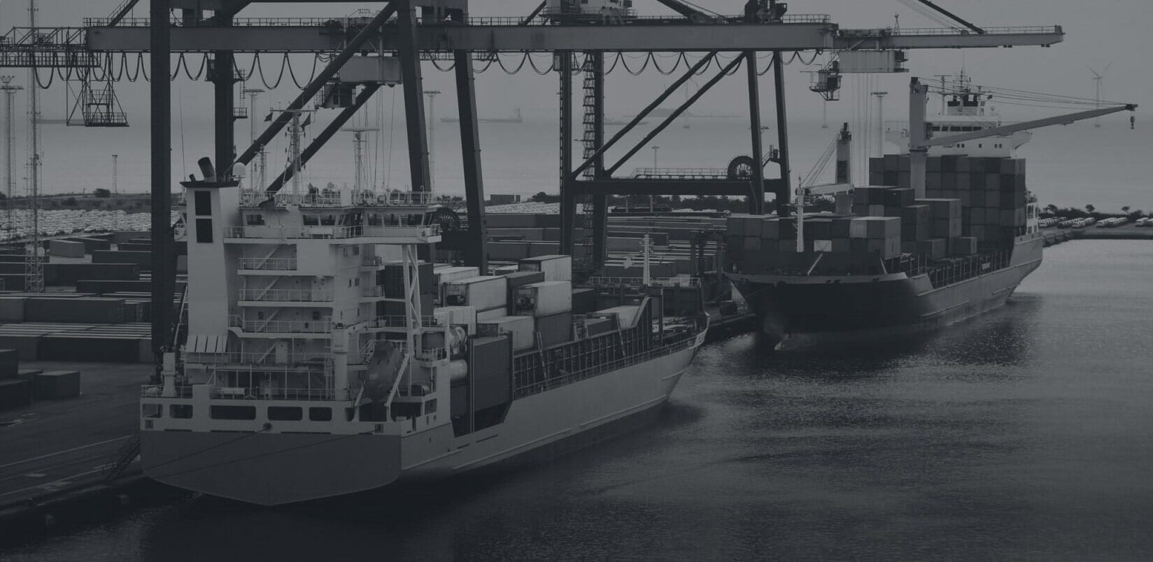 Cargo vessels and cranes at a container terminal
